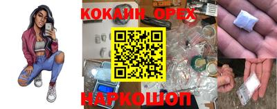 apvp Краснодар