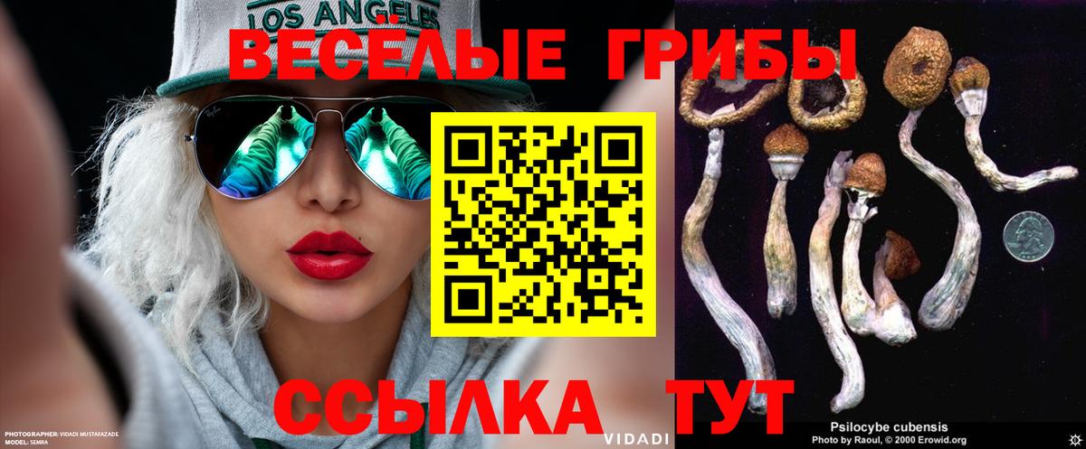 Галлюциногенные грибы Cubensis  Псилоцибиновые грибы Cubensis  Донской  Вход с VPN 